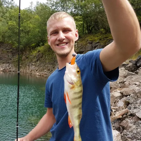 Flussbarsch
