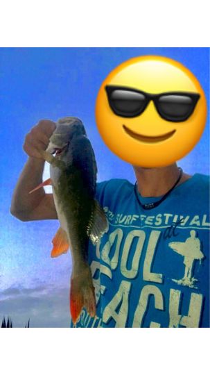 Flussbarsch
