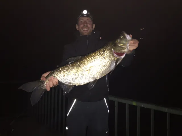 Rapfen