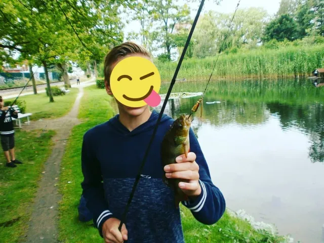 Flussbarsch