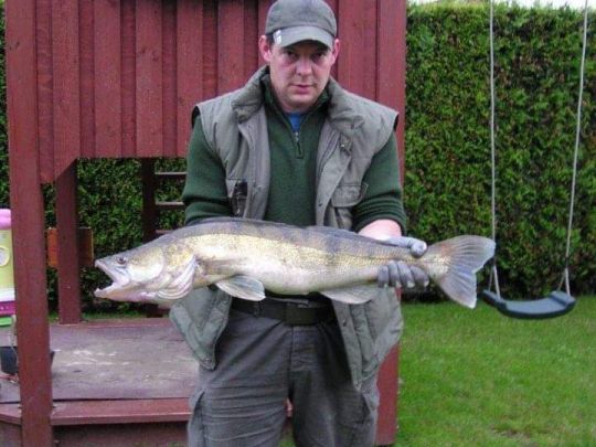 Zander
