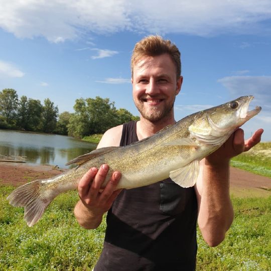 Zander