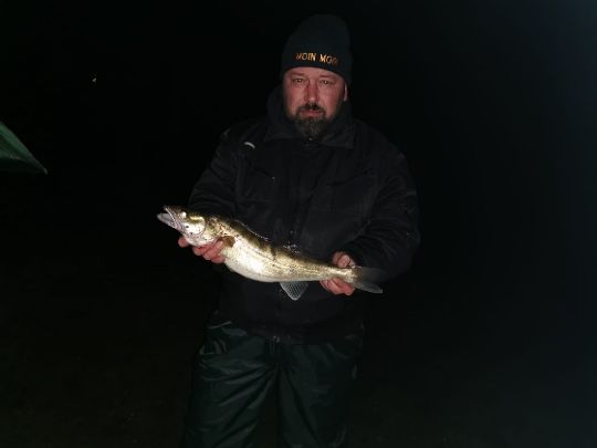 Zander