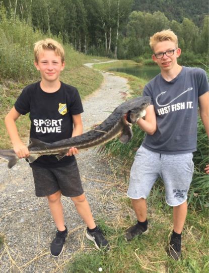 Stör