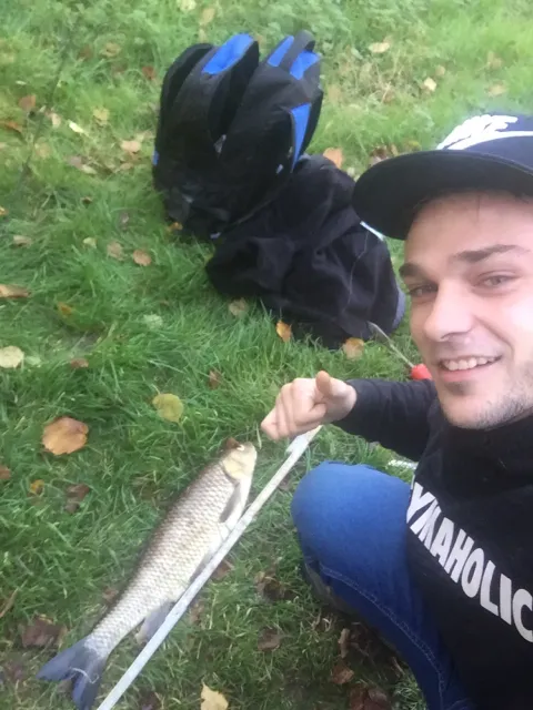 Döbel