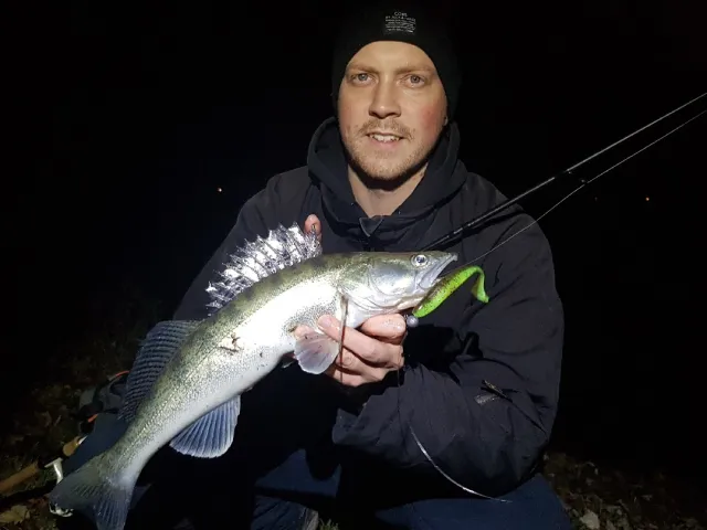 Zander