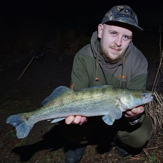 Zander