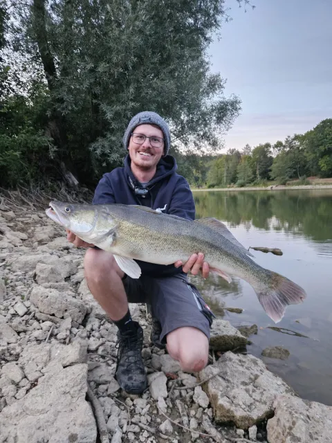 Zander