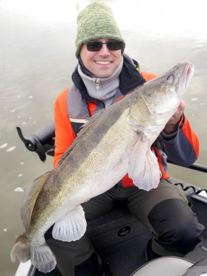 Zander
