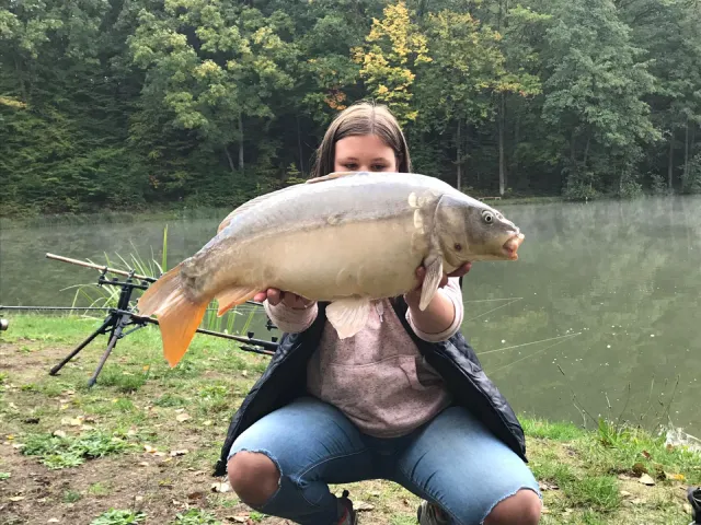 Karpfen
