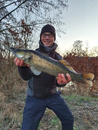 Zander