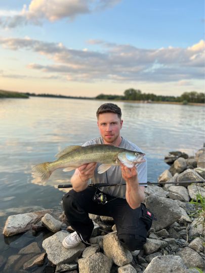 Zander