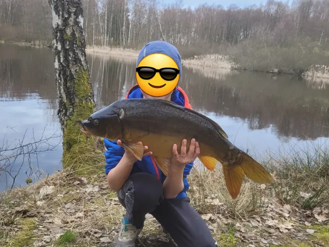 Karpfen
