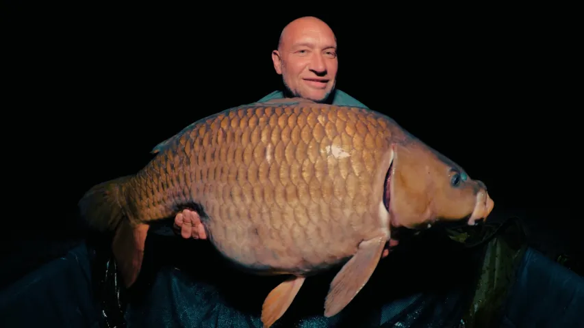 Karpfen