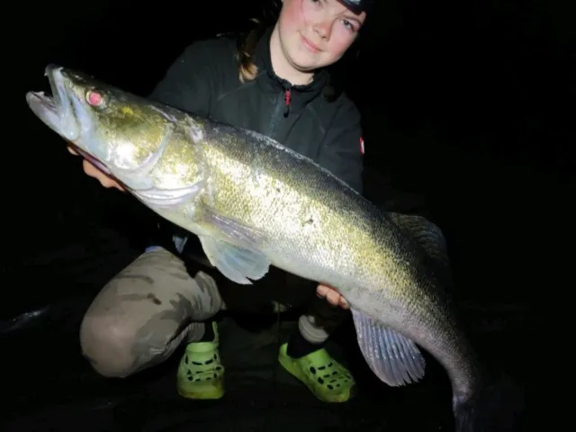 Zander