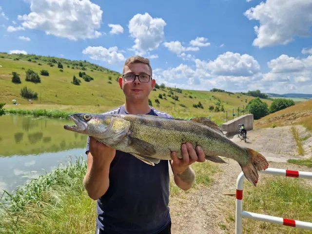 Zander
