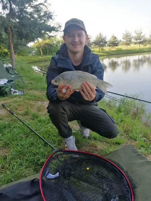 Giebel