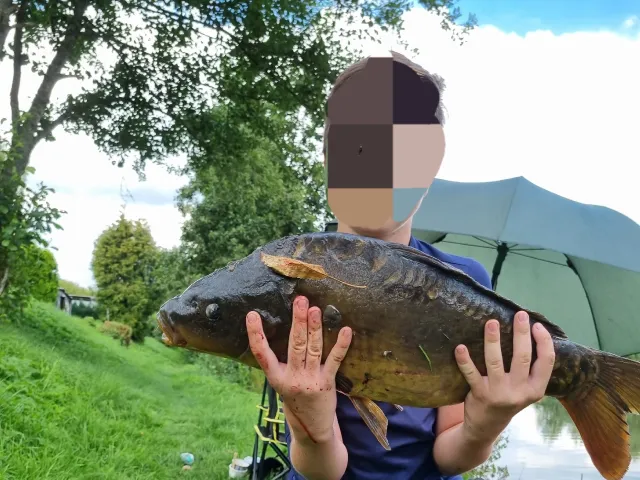 Karpfen