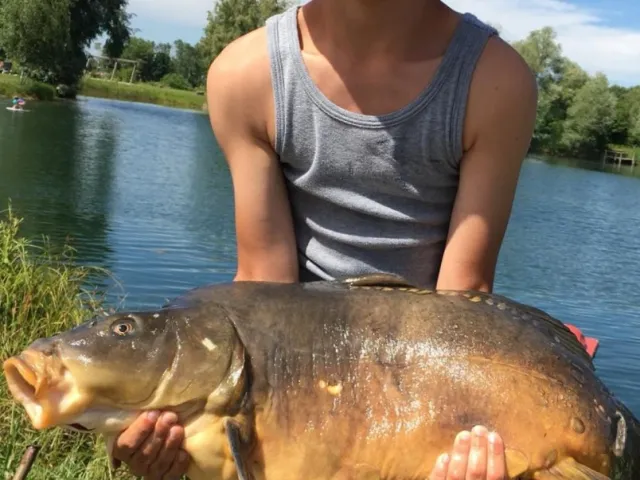 Karpfen