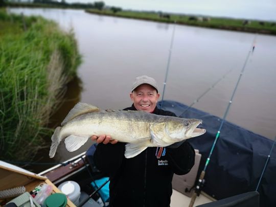 Zander