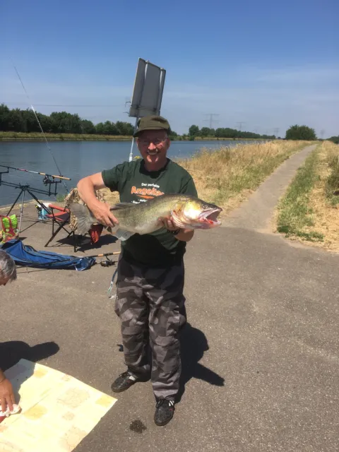 Zander