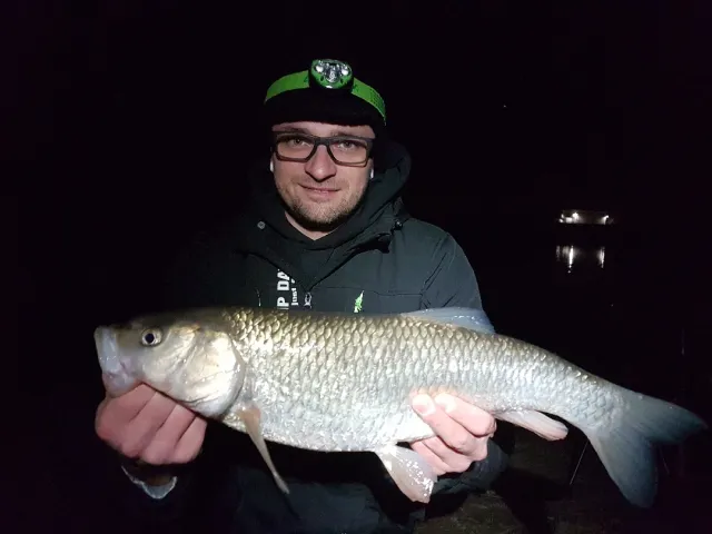 Döbel