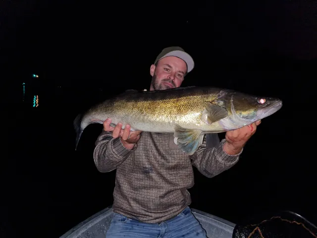 Zander