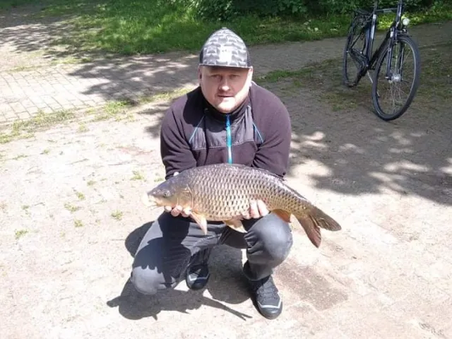 Karpfen