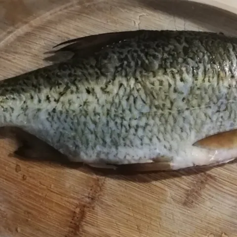 Güster