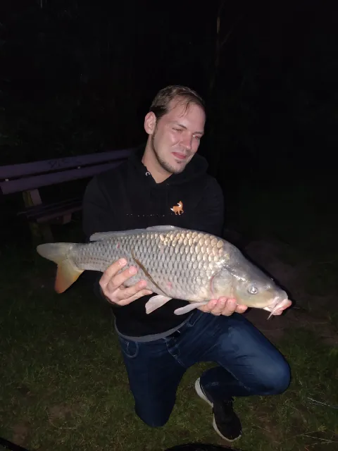 Karpfen