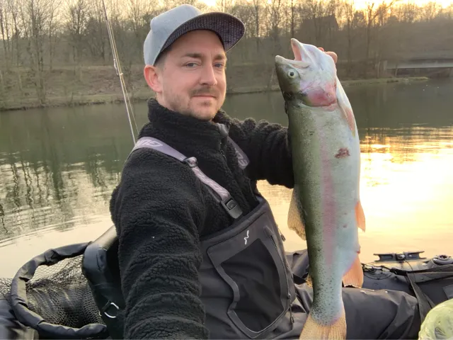 Regenbogenforelle
