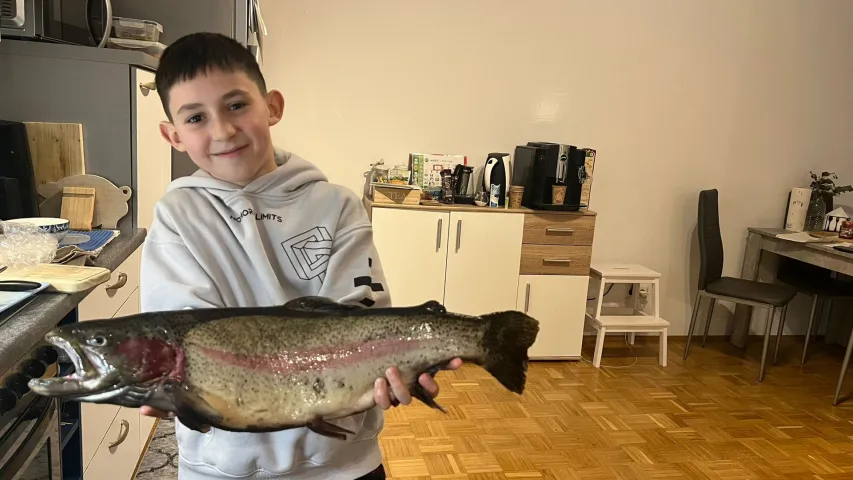 Regenbogenforelle
