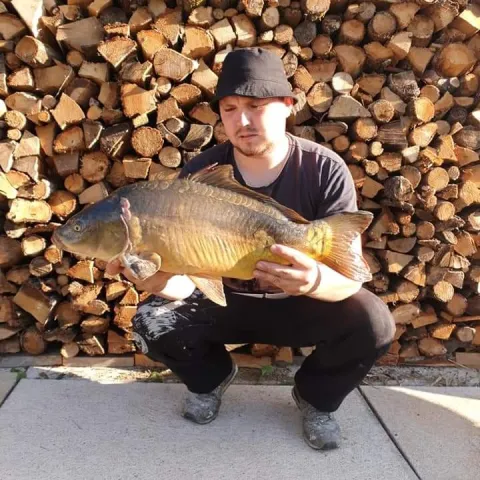 Karpfen