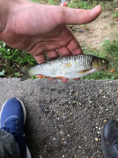 Glan (Lauterecken) ALLE ANGELN