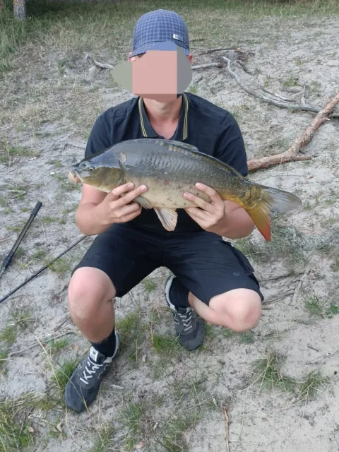 Karpfen