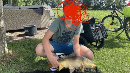 Karpfen