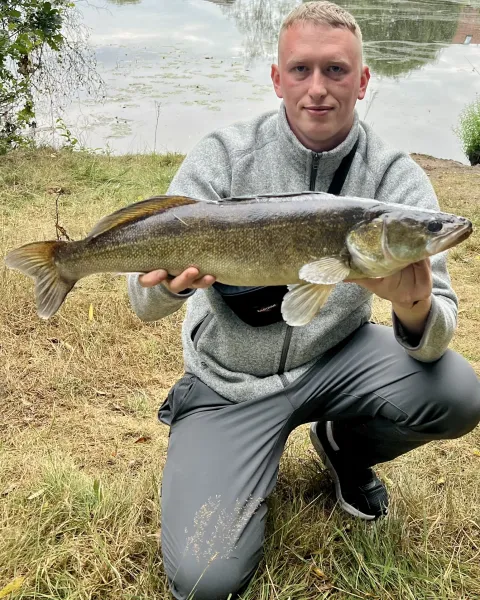 Zander