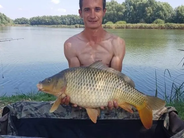 Karpfen