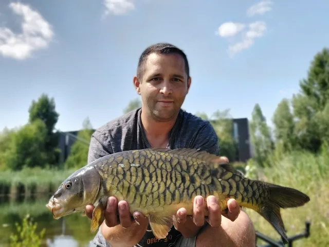 Karpfen