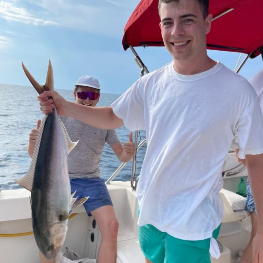 Amberjack