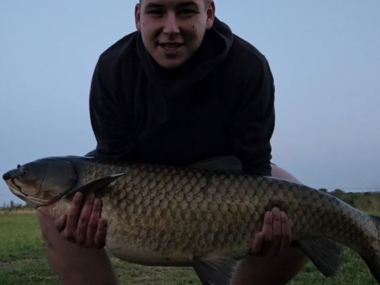 Graskarpfen