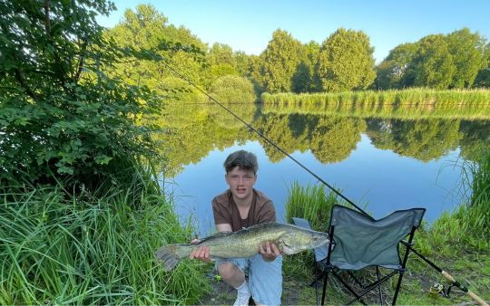 Zander