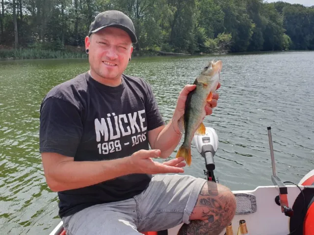Flussbarsch