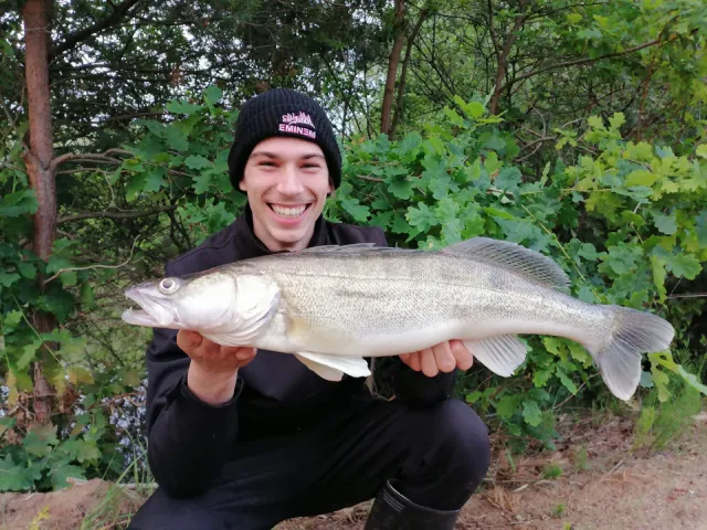 Zander