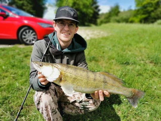 Zander