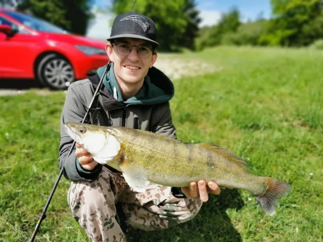 Zander