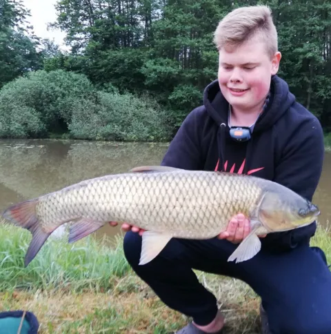 Graskarpfen