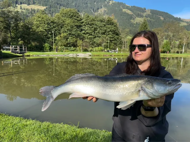 Zander