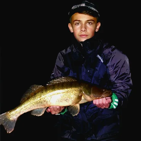 Zander