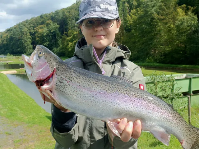 Regenbogenforelle